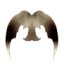 ӤHϥ(Avatar)